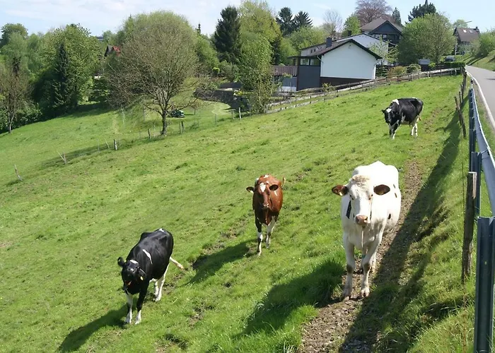 Oberberg 3* 린들라